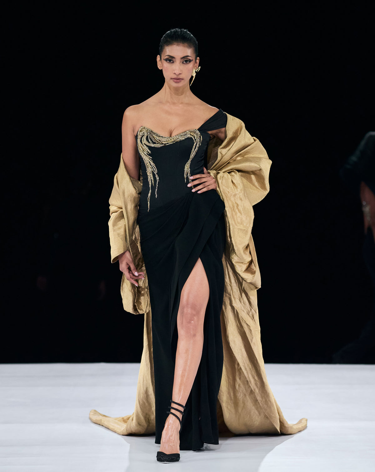 Serpentine Eclipse Saree Gown - Image 1