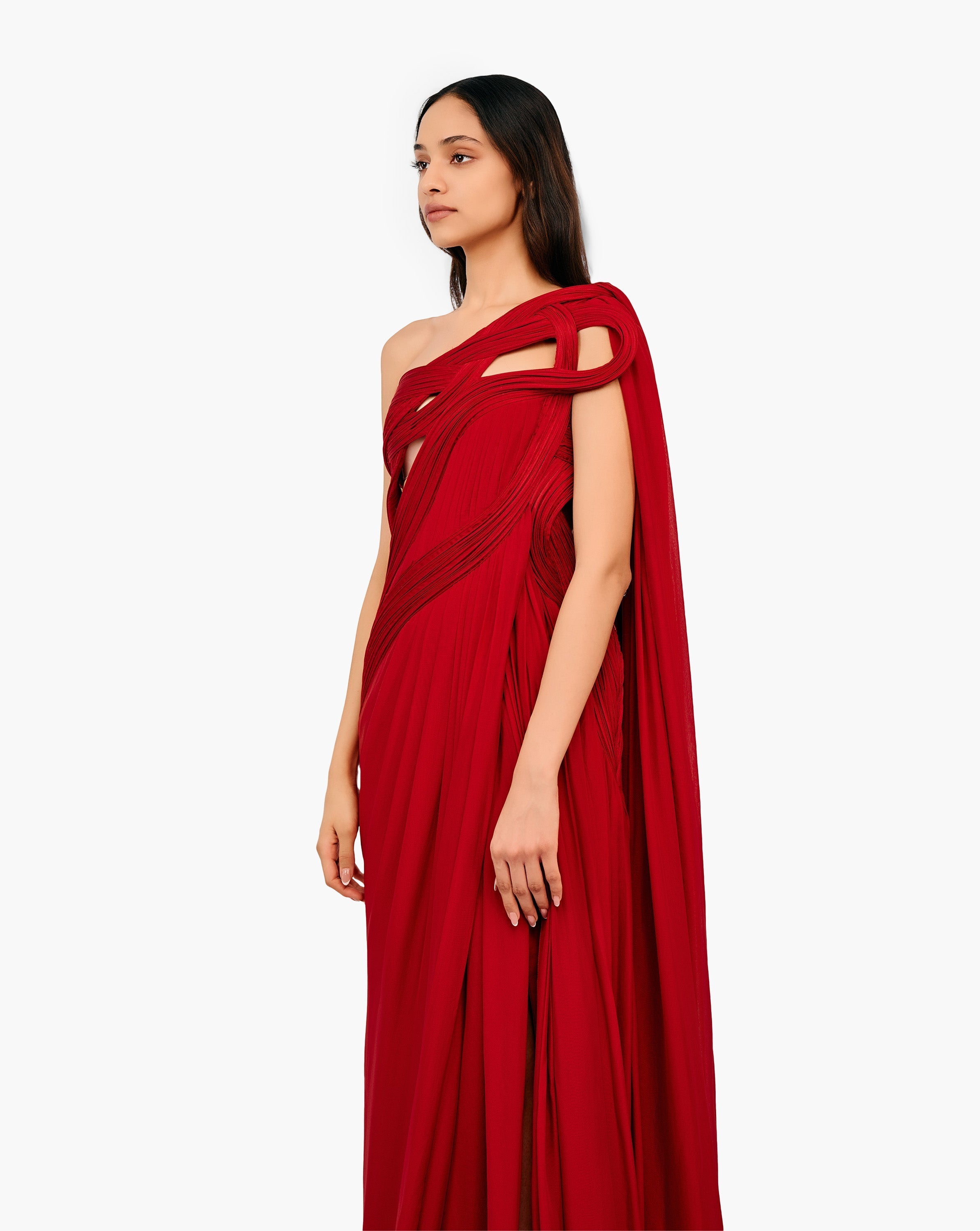 The Stellar Blaze Saree Gown