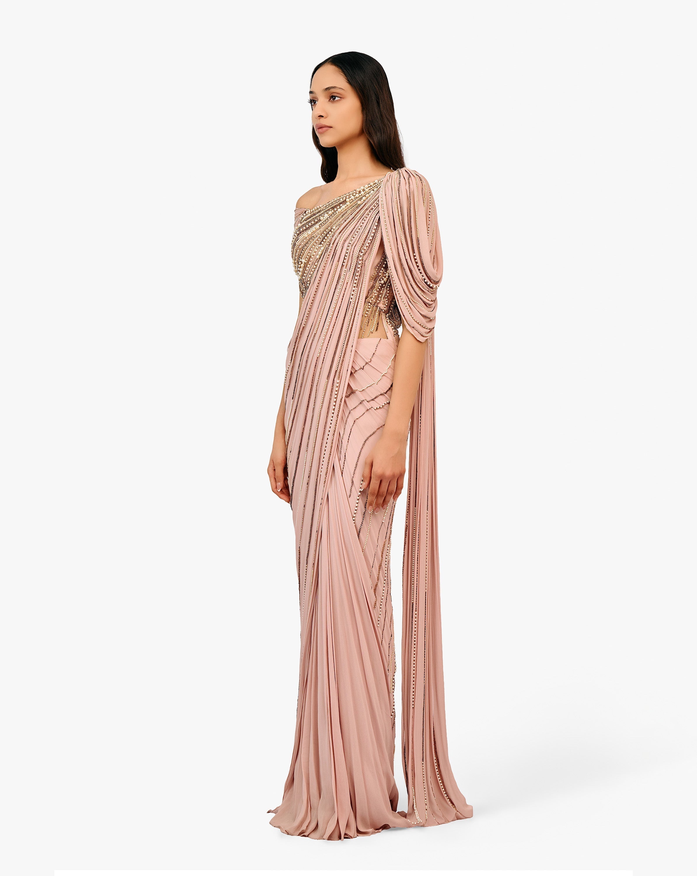 The Ecliptic Saree Gown