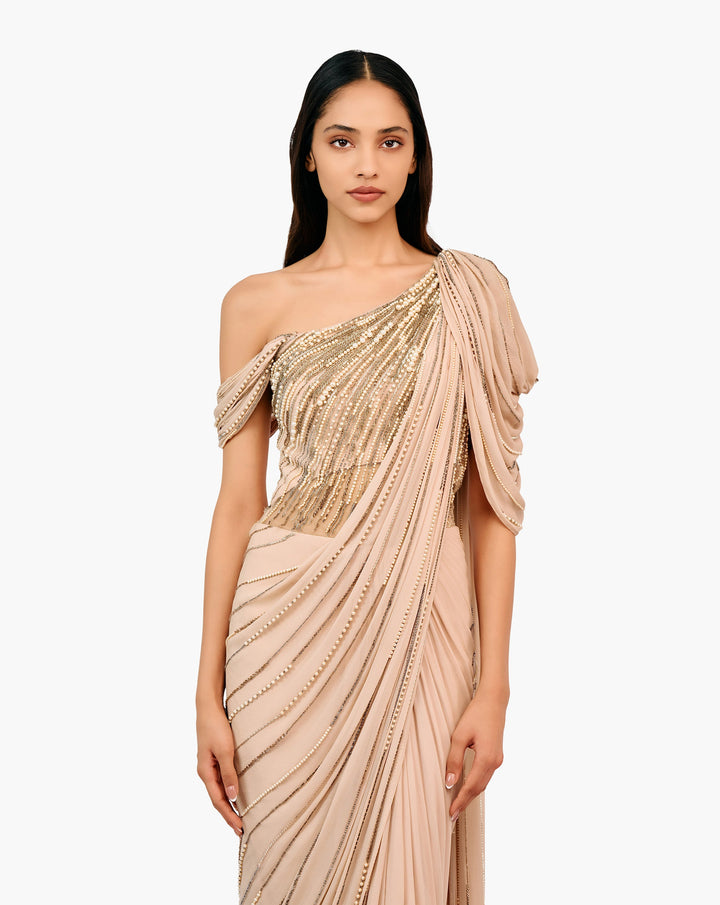 The Ecliptic Saree Gown
