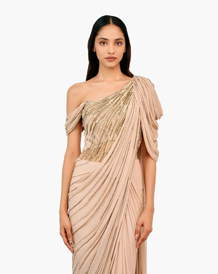 The Ecliptic Saree Gown