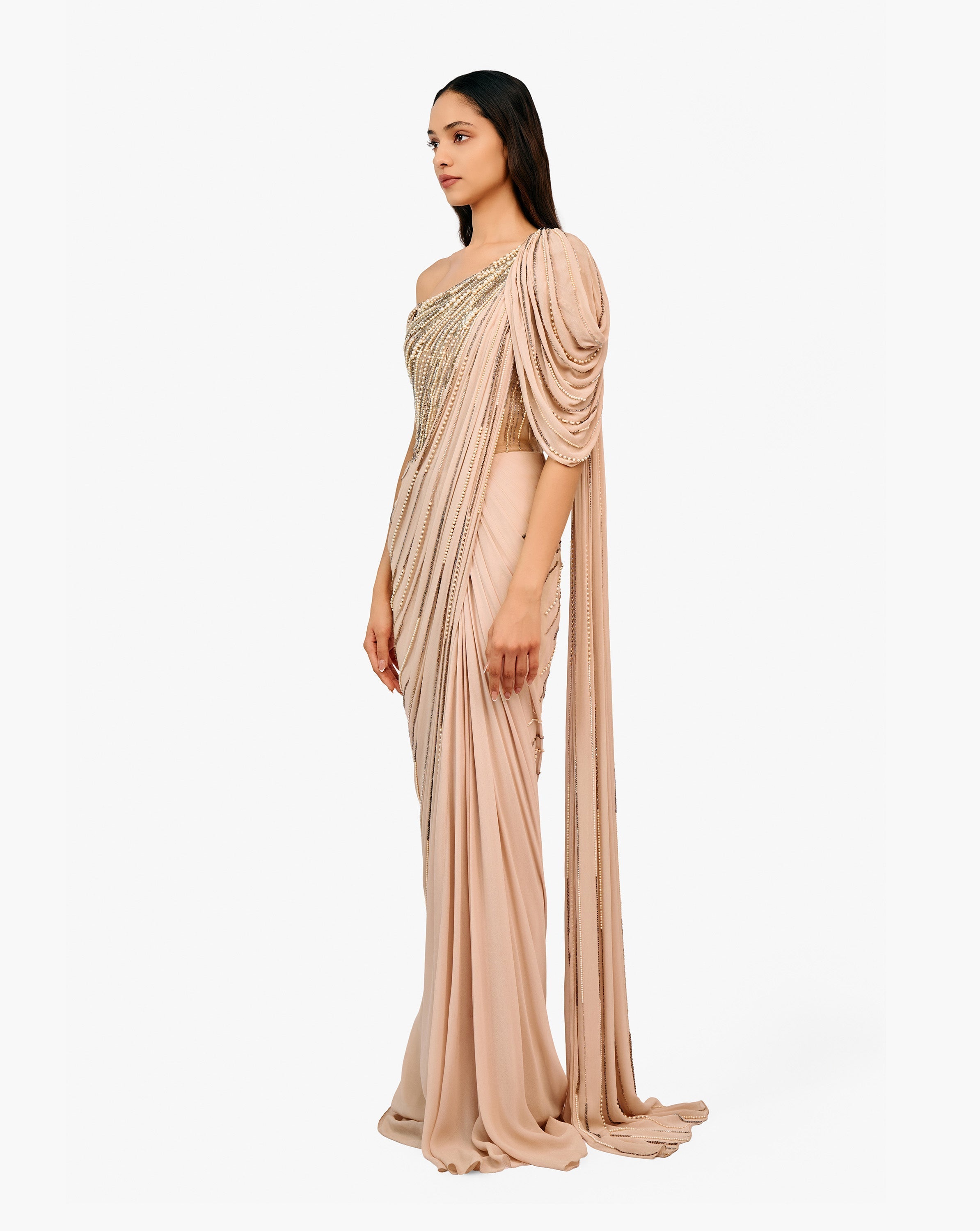 The Ecliptic Saree Gown