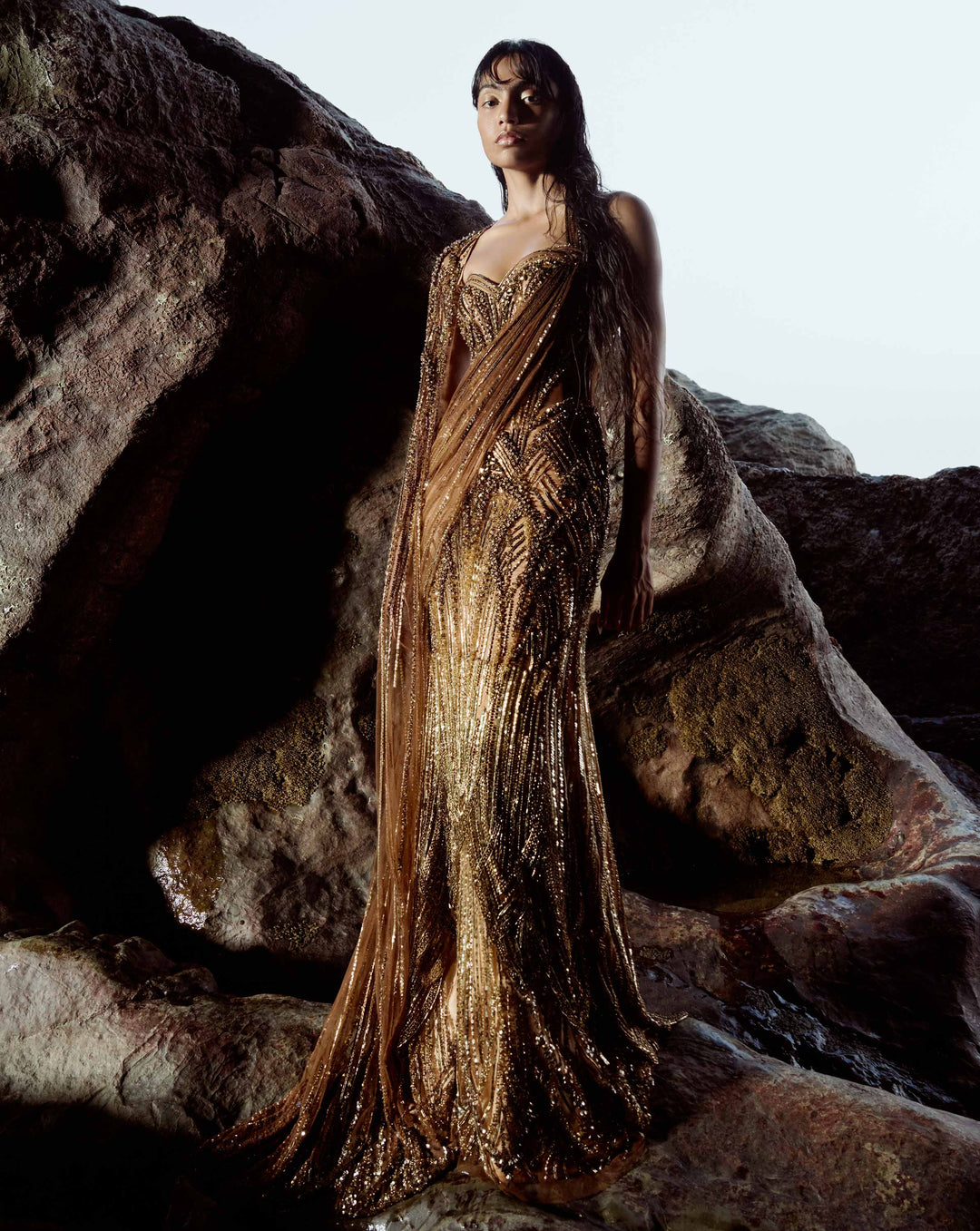 The Embellished Corset Saree Gown