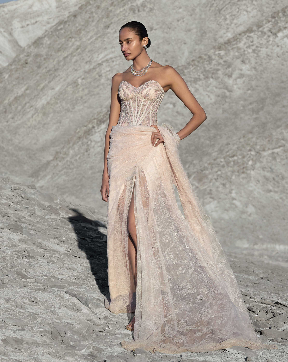 Corseted Crystal Saree Gown - Image 1