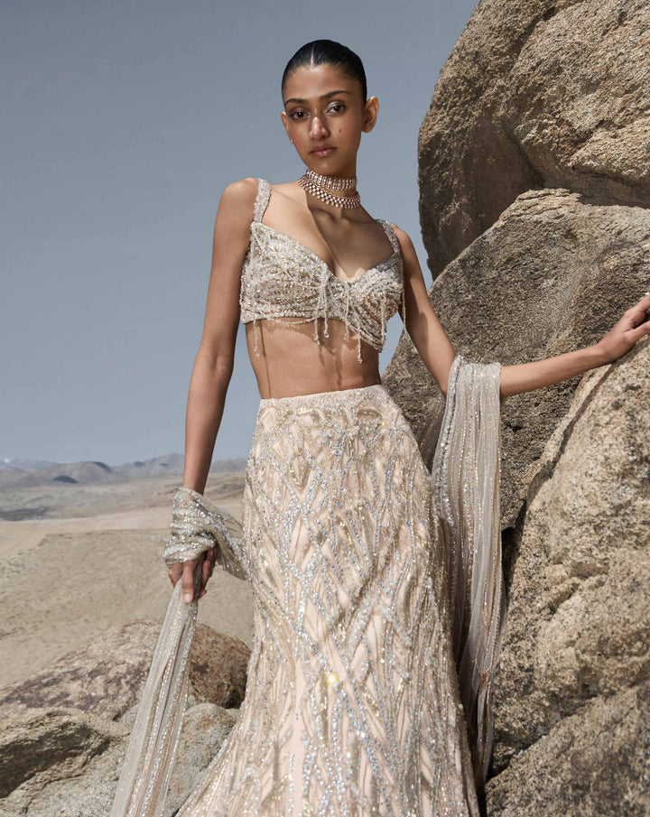 Astral Deco Lehenga - Image 3