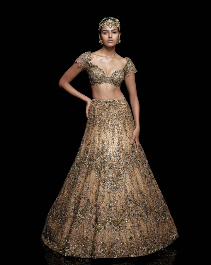 Golden Meadow Lehenga